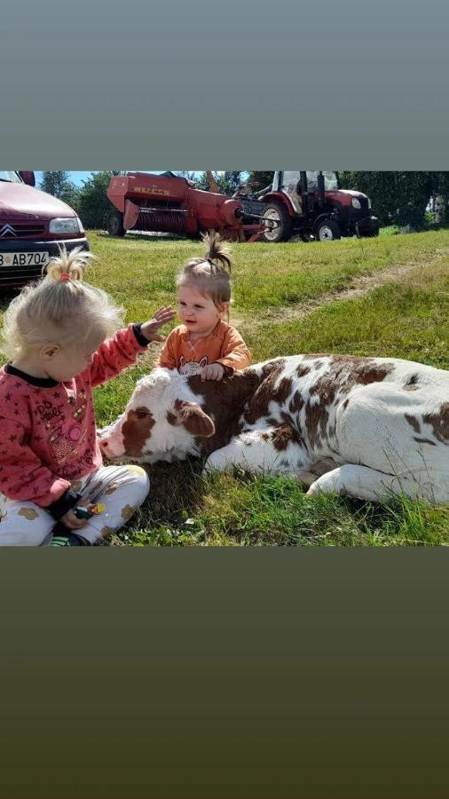 Organic Family Farm Hotel Žabljak Buitenkant foto