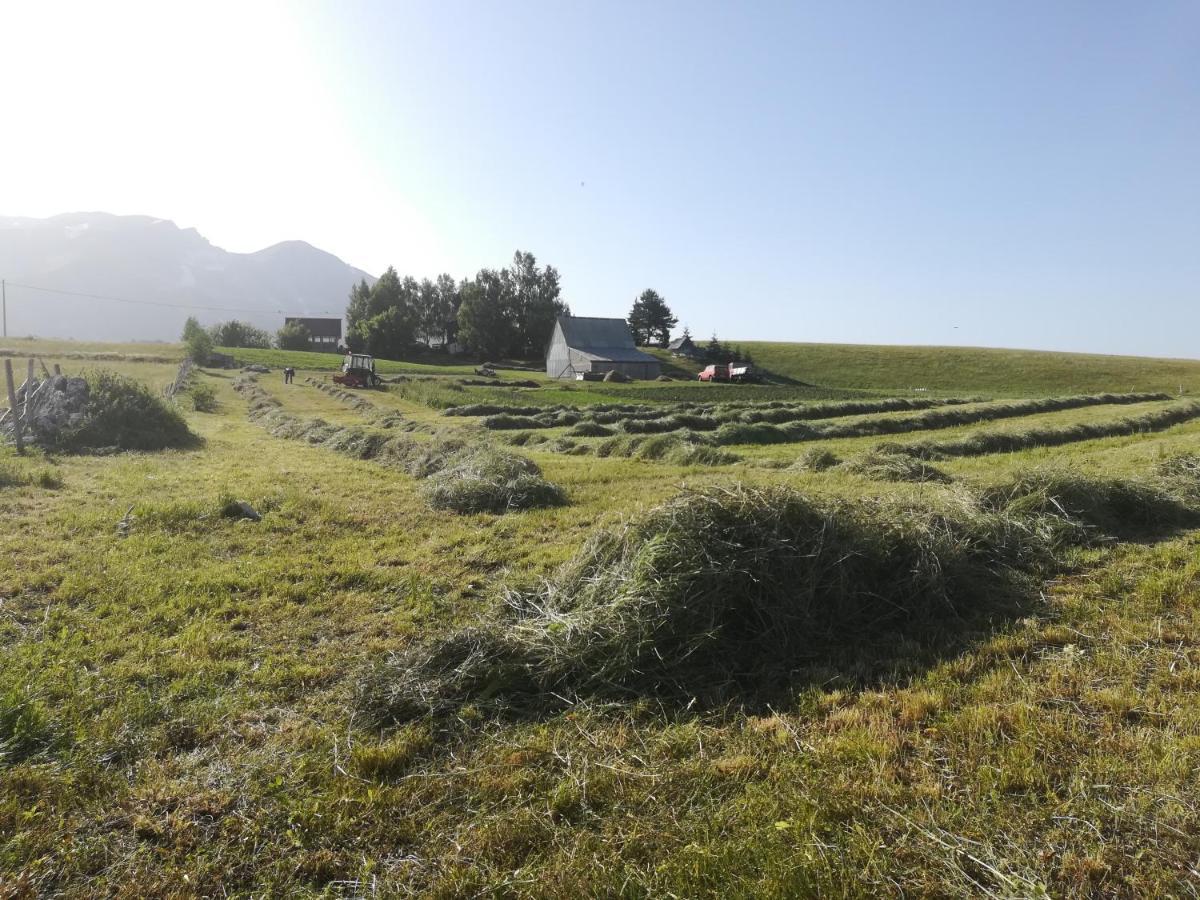 Organic Family Farm Hotel Žabljak Buitenkant foto