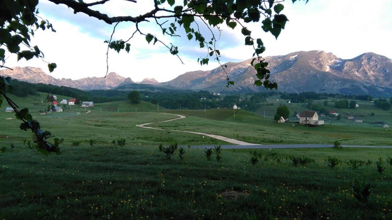 Organic Family Farm Hotel Žabljak Buitenkant foto
